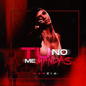 Tu no me mandas (Explicit)