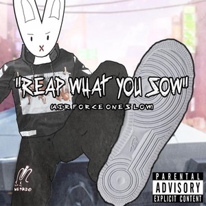 Reap What You Sow (Air Force Ones Low) [Explicit]