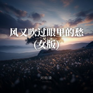 风又吹过眼里的愁 (女版)