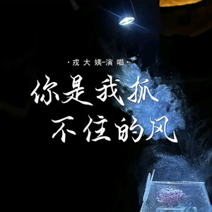 你是我抓不住的风