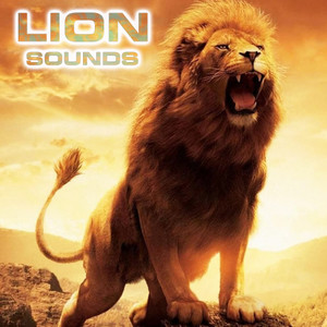 Lion Sounds Ambience(feat. Relaxing Nature Sound, White Noise Ambience, Nature Sounds New Age, Soothing Sounds & National Geographic Nature Sounds)