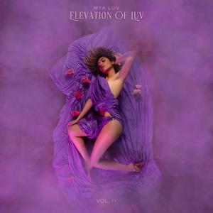 Elevation Of Luv (Vol. II)