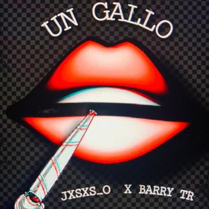 UN GALLO (feat. BARRY TR)