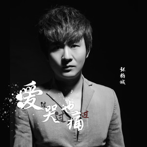 爱过哭过也痛过 (DJ版)