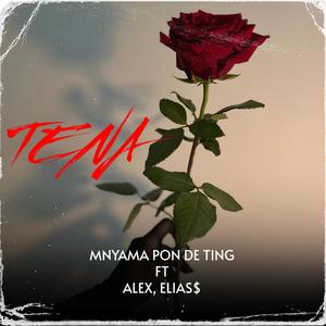 Tena (feat. Alex & Elias$)