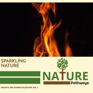 Sparkling Nature - Graceful Fire Sounds Collection, Vol. 2