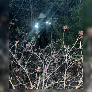 2024 (6 in 1) (Explicit)