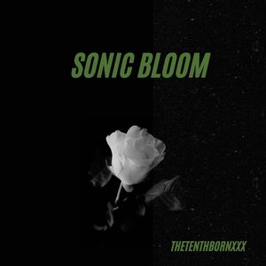 Sonic Bloom (Explicit)