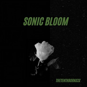 Sonic Bloom (Explicit)