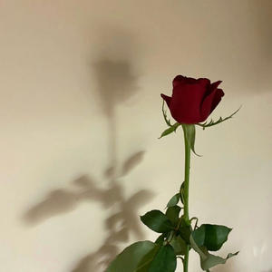 Hate love. (Explicit)