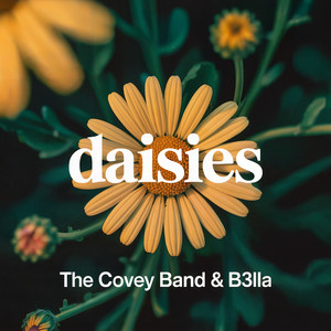 Daisies