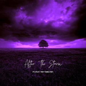 After The Storm (feat. Tiny Tunez FDF) [Explicit]