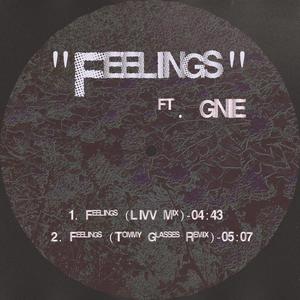 Feelings(feat. GNIE)