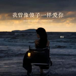 我曾像傻子一样爱你