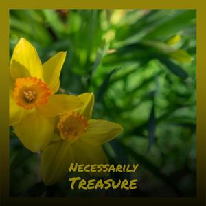 Necessarily Treasure