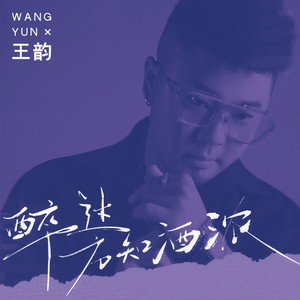 王韵 - 醉过方知酒浓 (DJ九零版)