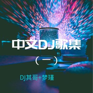 中文DJ歌集（一）