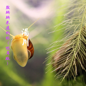 致珊珊来迟的你 (悦耳版)