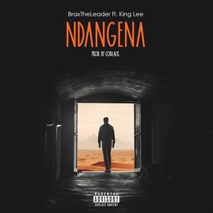 Ndangena (feat. King Lee) [Explicit]