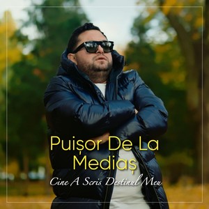 Cine a scris destinul meu