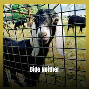 Bide Neither