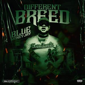 Different Breed (Explicit)