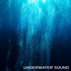 Underwater Sound (feat. Atmosphere Soundscapes, World Ocean Sound, Discovery Nature Sound, Discovery Nature Soundscapes, Aquarium Soundscapes & Nature Soundscapes)