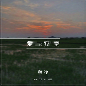爱的寂寞 (DJ可乐版)