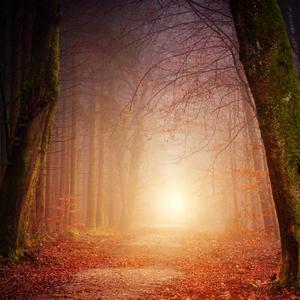 Light In The Darkness (Inst.)