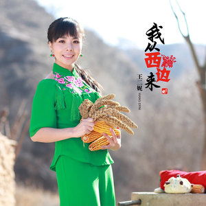 王二妮专辑《我从西边来》封面图片
