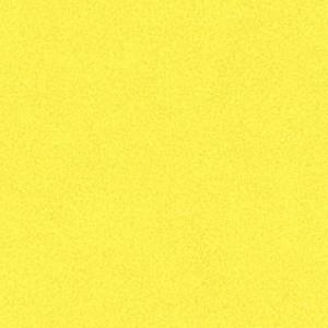 Gillespies(feat. 13RIGGZ) (Explicit)