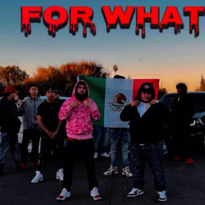 For What (Explicit)