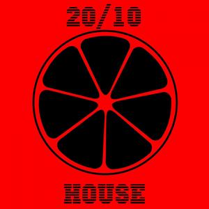 20/10 House, Vol. 10