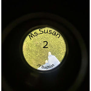 Ms.Susan 2 (feat. Matt Fresno)