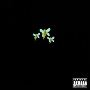 Fairy (Yop) (remix|Explicit)