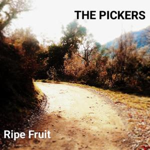 Five (feat. Martino Vercesi, Carlo Bavetta & Matteo Frigerio)