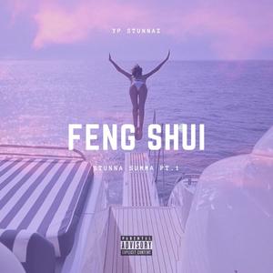 Feng Shui (Explicit)