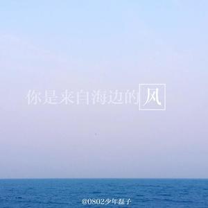 你是来自海边的风