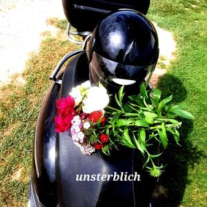 unsterblich (feat. iamluisch) [Explicit]