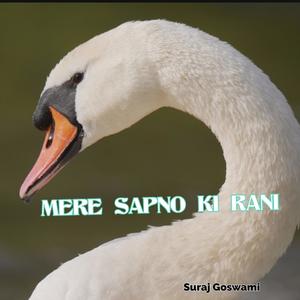 MERE SAPNO KI RANI