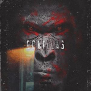 Gorillas (Explicit)
