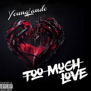 Too Much Love (Explicit)