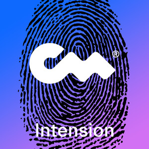 Intension (J Mike Remix)