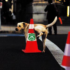 133 PURO WEONE (feat. Fantazy.cl & Richh Sosa) (Explicit)