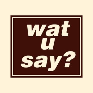 wat u say (feat. soser) (Explicit)