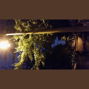 風に薫る夏の記憶 (COVER版)