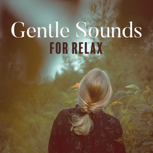 Gentle Sounds for Relax: Wonderful Moments with 15 Best Songs Perfect for Restful Relaxation, Spirit of Harmony, Feel Better with Amazing New Age Music