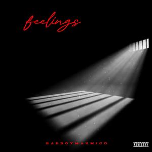 Feelings