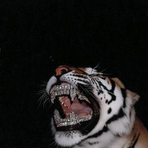 Diamond Flow (feat. Nawfside Risky) (Explicit)