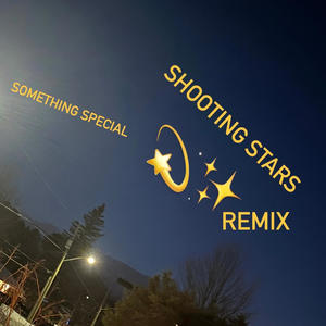 Shooting Stars (feat. Janaya) [Remix] [Explicit]